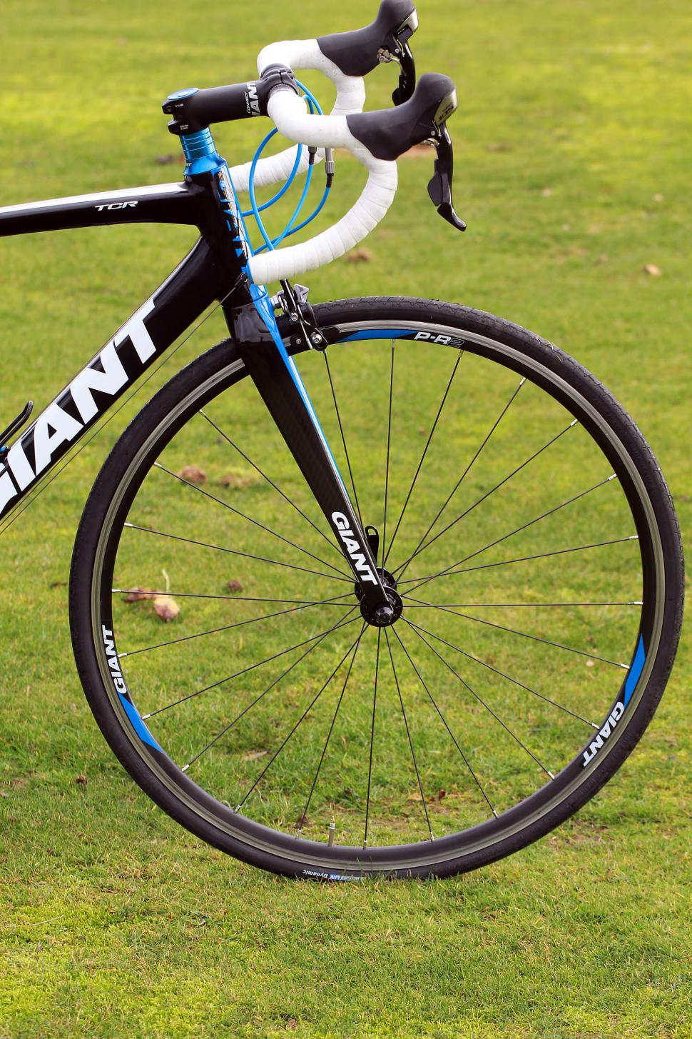 giant tcr1